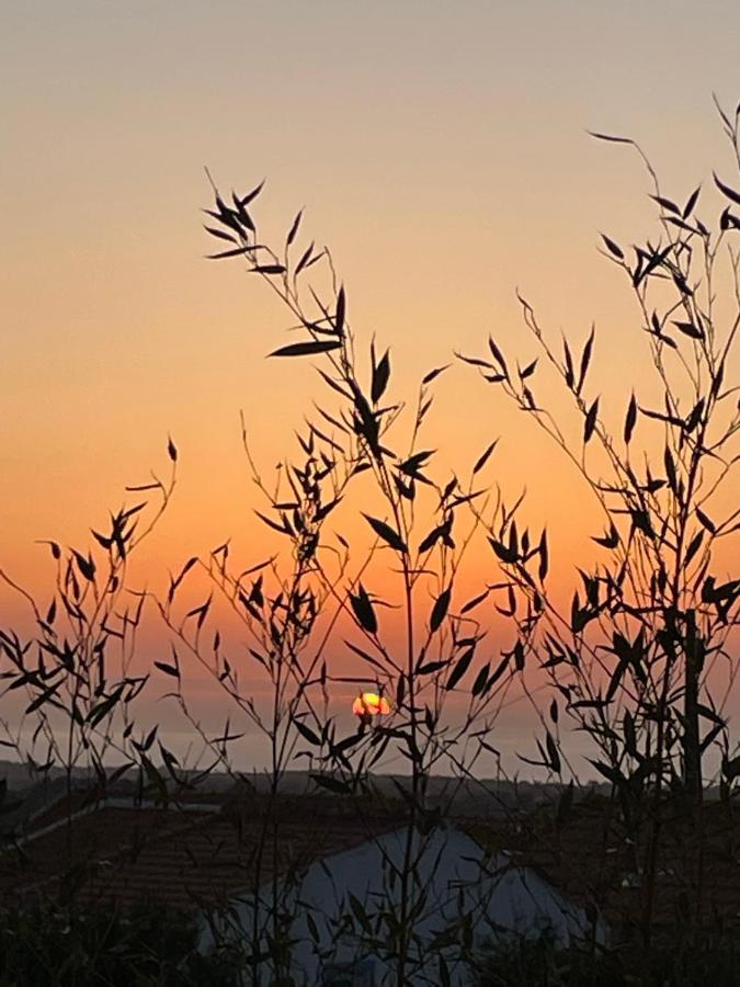 Cabana Mar E Serra Sesimbra Kültér fotó